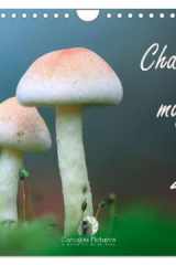 Champignons magiques (Calendrier mural 2026 DIN A4 vertical), CALVENDO calendrier mensuel: Un calendrier fascinant qui met en lumière, mois après ... et la beauté mystérieuse des champignons. cover image