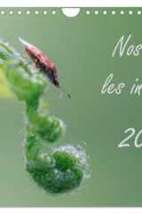 Nos amis les insectes (Calendrier mural 2026 DIN A4 vertical), CALVENDO calendrier mensuel: Un regard fascinant sur le monde miniature des insectes. cover image