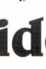 Spiders cover image