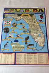 Florida History cover image