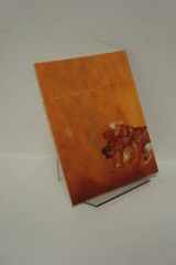 Earth Time Poems cover image