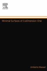 Minimal Surfaces of Codimension One cover image