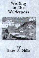 Waiting in the Wilderness cover image