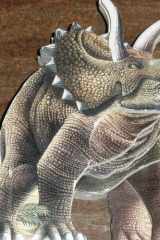 Triceratops cover image
