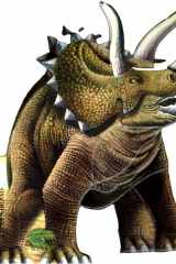 Portable Pets Triceratops cover image