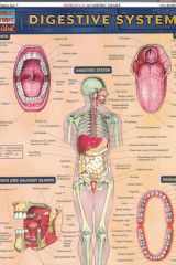 Digestive System cover image