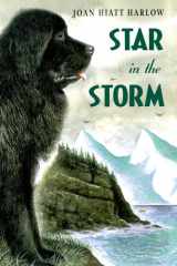 Star in the Storm cover image
