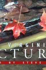 West Virginia in Pictures cover image