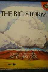 The Big Storm cover image