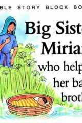 Big Sister Miriam cover image