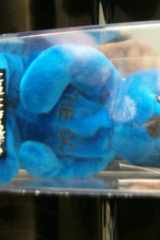 WWF Main Event: The Rock (WWF Attitude Bear) cover image