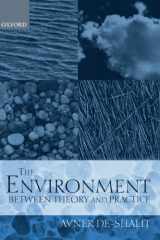 The Environment Between Theory and Practice cover image