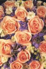 Bouquets of Blessing Gift Bag cover image