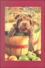 Shar-Pei with Apples Journal cover image