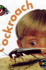 Cockroach cover image