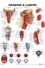 Pharynx & Larynx Anatomical Chart cover image