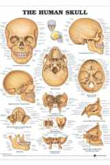 The Human Skull cover image