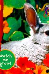 Watch Me Grow Rabbit cover image
