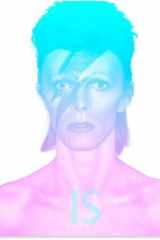David Bowie est le sujet: [exposition, Londres, Victoria and Albert museum, 23 mars-11 août 2013] cover image