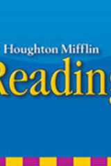 Houghton Mifflin Reading Big Book Anthology Theme 3 Grade 1 cover image