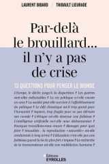 Par-delà le brouillard, il n'y a pas de crise: 13 questions pour penser le monde cover image