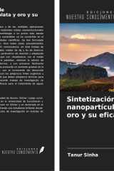 Sintetización fácil de nanopartículas de plata y oro y su eficacia (Spanish Edition) cover image
