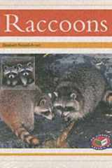 PM Non-Fiction - Gold Level Nocturnal Animals Racoons (X6) cover image