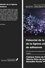 Potencial de la desmetilación de la lignina en la producción de adhesivos: Una alternativa renovable para la industria de los paneles de madera (Spanish Edition) cover image