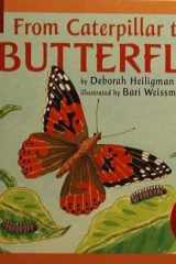 From Caterpillar to Butterfly cover image