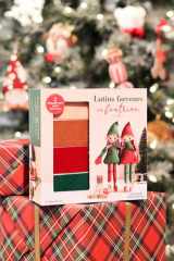 COFFRET Lutins farceurs en feutrine cover image