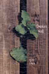 Keṭalāṅka kāvyo cover image