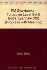 PM Storybooks - Turquoise Level Set B Bird's Eye View (X6) cover image