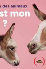 Où est mon petit ?: Le memory des animaux cover image