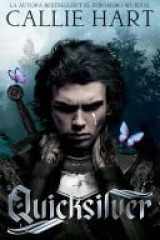 Quicksilver cover image