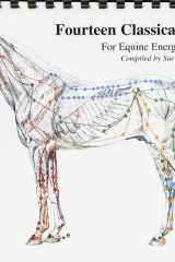 Fourteen Classical Meridians for Equine Energy Work cover image