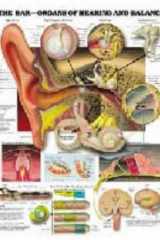 The Ear: Organs of Hearing and Balance Anatomical Chart cover image