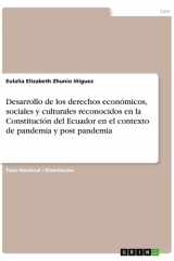 Desarrollo de los derechos económicos, sociales y culturales reconocidos en la Constitución del Ecuador en el contexto de pandemia y post pandemia cover image