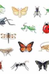 Insects Bulletin Board cover image