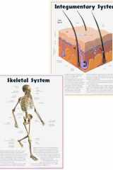 Human Body Systems cover image