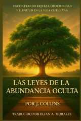 Las Leyes de la Abundancia Oculta - Encontrando Riqueza, Oportunidad y Plenitud en la Vida Cotidiana cover image