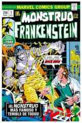 El monstruo de Frankenstein cover image