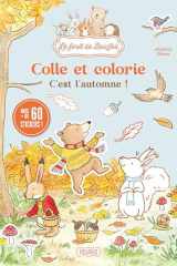 Mes premiers coloriages. C'est l'automne ! cover image