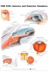 The Eye: Anterior and Posterior Chambers cover image