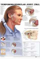 Temporomandibular Joint cover image