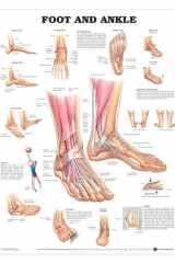 Foot and Ankle Anatomical Chart cover image
