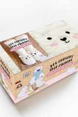 Des oursons trop mignons pour mes petits petons Coffret avec 1 paire de chaussettes et 1 livre cover image