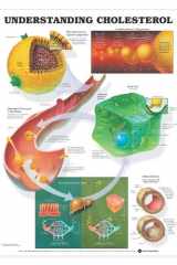 Understanding Cholesterol Anatomical Chart cover image