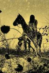 Aux ombres cover image