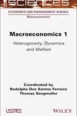 Macroeconomics: heterogeneity, dynamics and welfare cover image