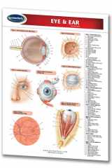 Eye & Ear cover image
